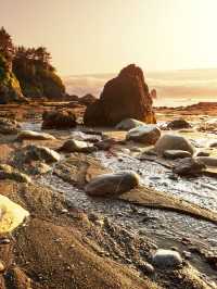 美國1天秋天旅行攻略快碼住