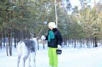 漠河三天兩晚極致尋北攻略：赴一場冰雪與星空的約會