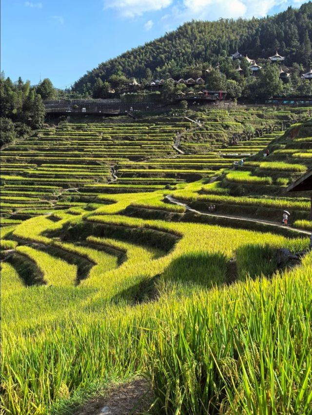 看日出雲海、逛古寨，拍照拍到內存滿
