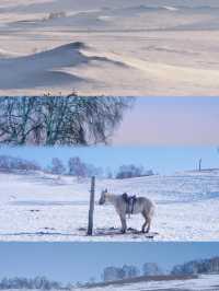 烏蘭布統雪原絕了人少景美的冬日童話世界！