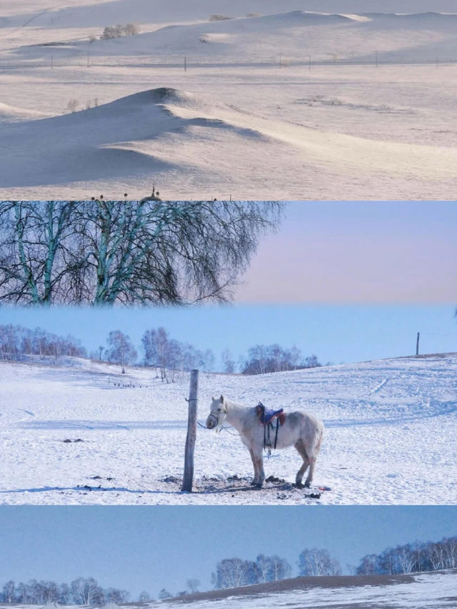 烏蘭布統雪原絕了人少景美的冬日童話世界！