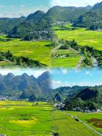 秋天，是萬峰林最不容錯過的季節