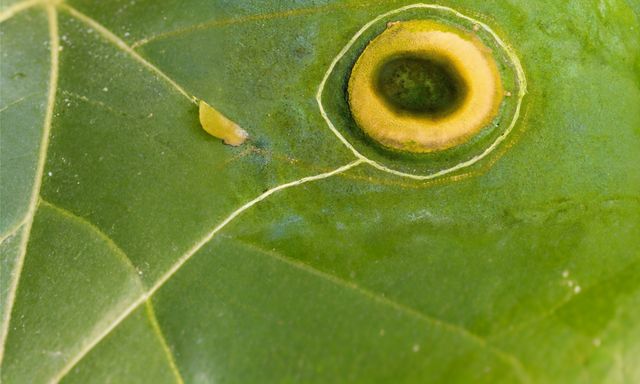 格聶之眼·全攻略 | 邂逅川西秘境,收藏"地球表面最後一滴眼淚" 格聶之眼·全攻略 | 邂逅川西秘境,收藏"地球表面最後一滴眼淚"