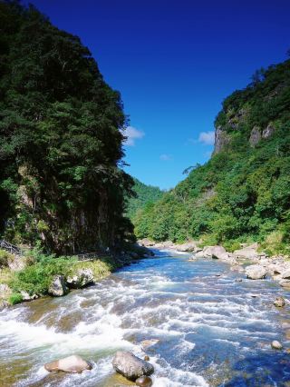 이른 아침 백수양을 급습해, 십리 수가를 독점