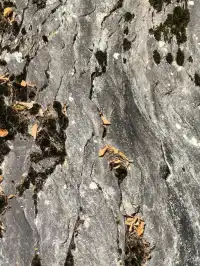 2025年11月16日廣元唐家河