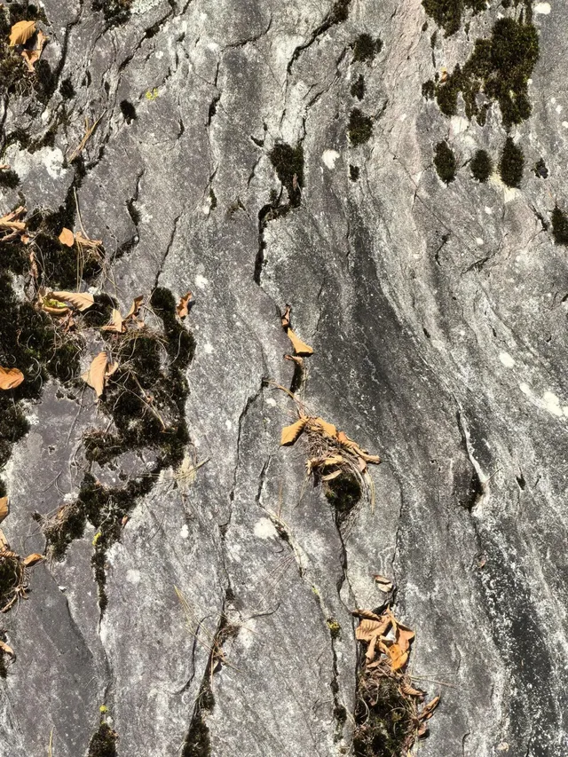 2025年11月16日廣元唐家河