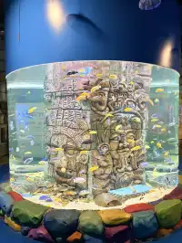 目測會成為泉州下一個No.1