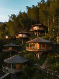 莫干山親子天堂!開元森泊帶娃解鎖N種快樂