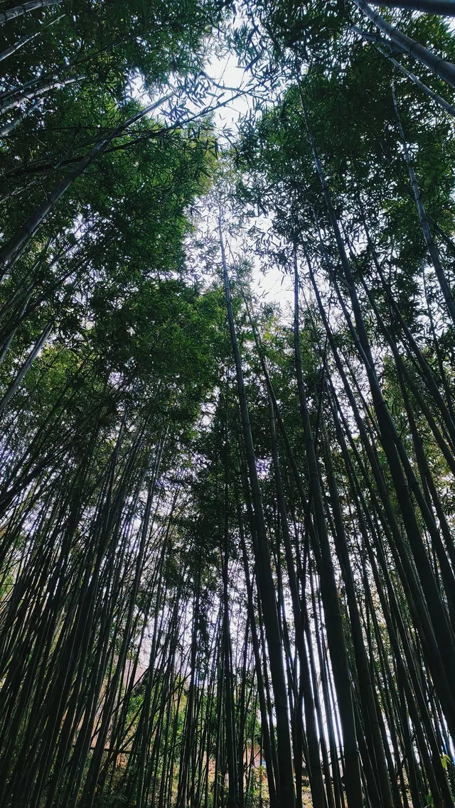 金龍峽徒步｜秦嶺秘境｜人少景美｜新手天堂