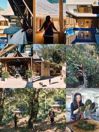 A Solo Slow Life in Jingmai Mountain