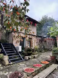 台州最美古村曬秋