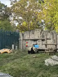 謝謝上野送的生日禮物~今天的快樂是免費哒