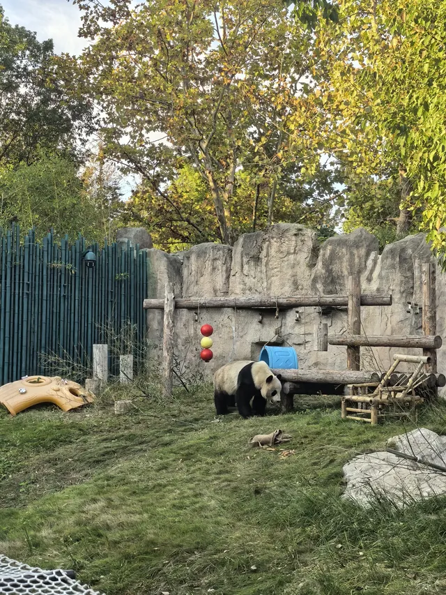 謝謝上野送的生日禮物~今天的快樂是免費哒 謝謝上野送的生日禮物~今天的快樂是免費哒