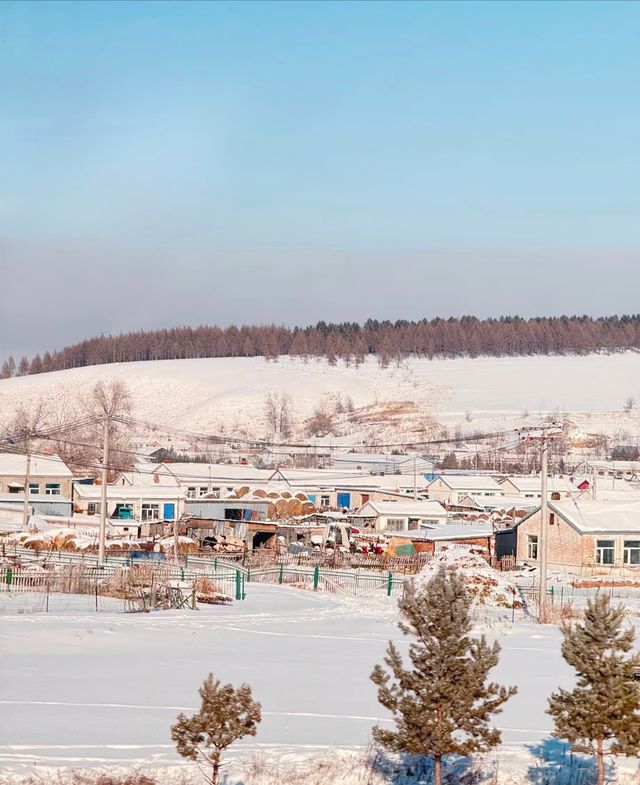 呼倫貝爾秋日漫遊指南:邂逅北國祕境的金色童話 呼倫貝爾秋日漫遊指南:邂逅北國祕境的金色童話