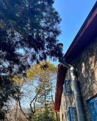 聖誕圍爐溫暖小屋