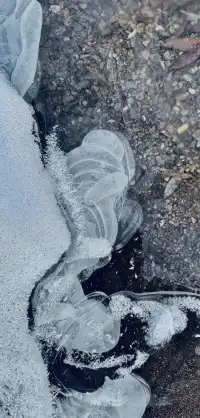 私人小眾滑雪，大興安嶺滑雪才是隱藏頂配！