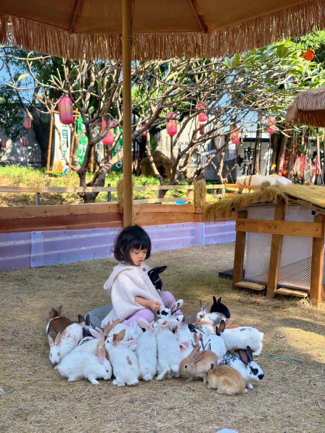 佛山祖廟附近新開的！！遛娃好去處！！