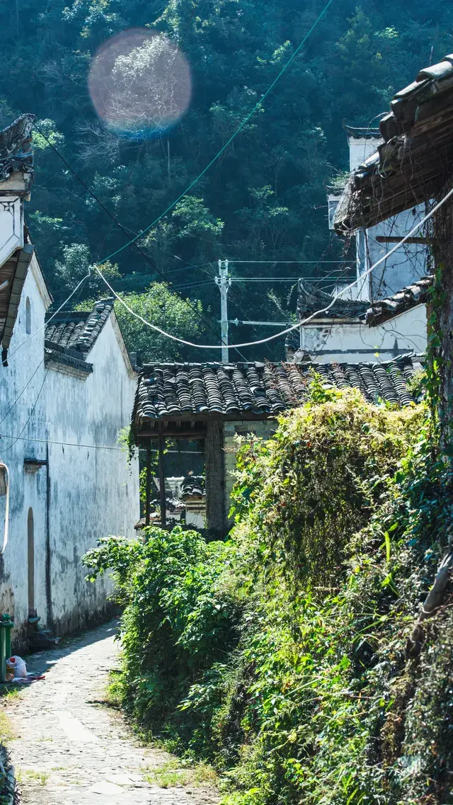 以為南京的秋天很美了,直到去了皖南 以為南京的秋天很美了,直到去了皖南