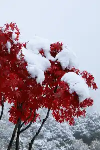 跟我們德陽出發每週去野吧！