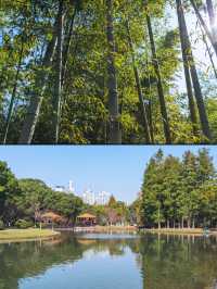 上海｜世紀公園的城市秋居畫卷