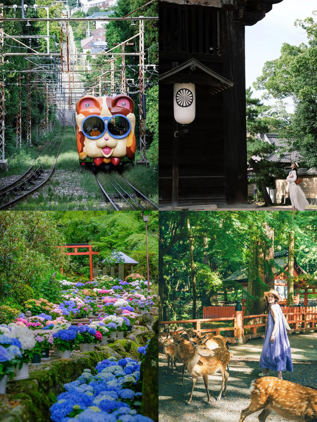 第一次來日本巨巨詳細攻略閉眼衝！