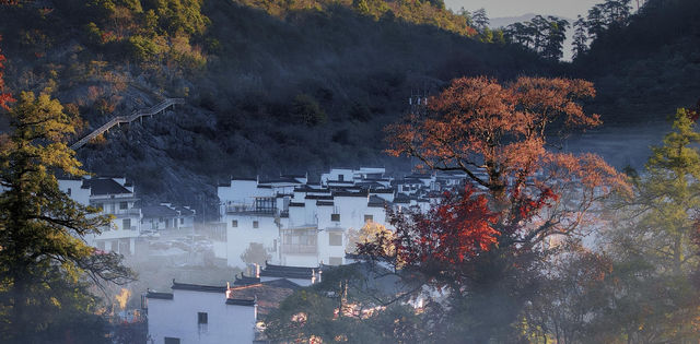 婺源石城秋日行攝全攻略｜沉浸於紅葉晨霧的水墨畫境