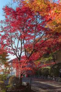 大山崎山莊美術館
