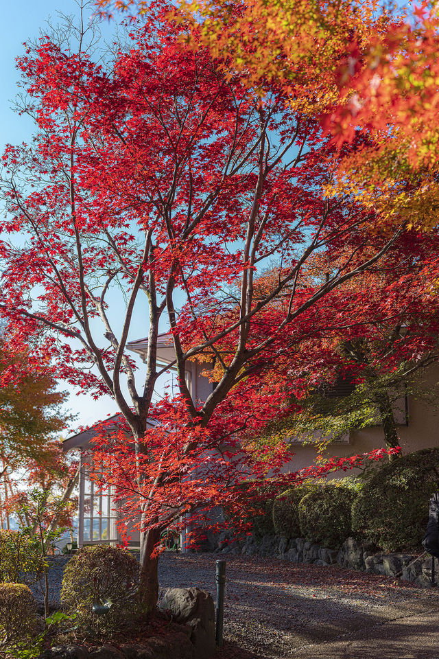 大山崎山莊美術館