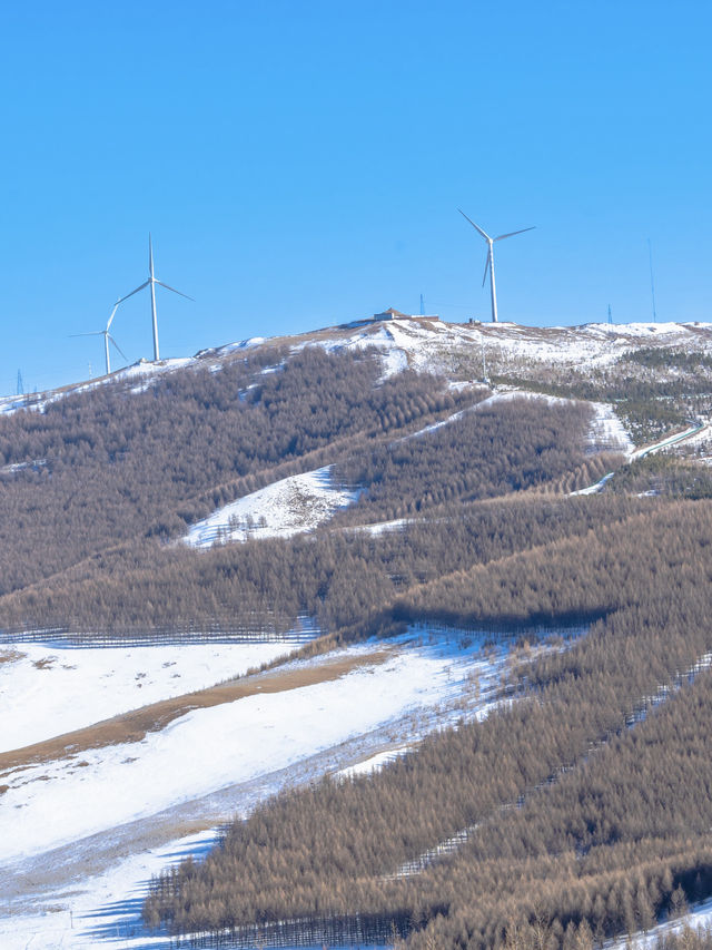 零下15°C勇闖樺皮嶺這份徒步攻略必須碼住! 零下15°C勇闖樺皮嶺這份徒步攻略必須碼住!