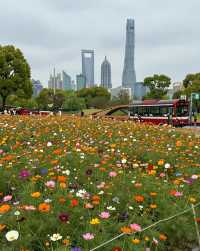 魔都版莫奈花園打卡|四季皆美,打卡不踩雷