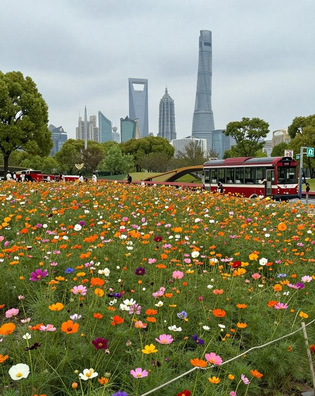 魔都版莫奈花園打卡|四季皆美,打卡不踩雷 魔都版莫奈花園打卡|四季皆美,打卡不踩雷