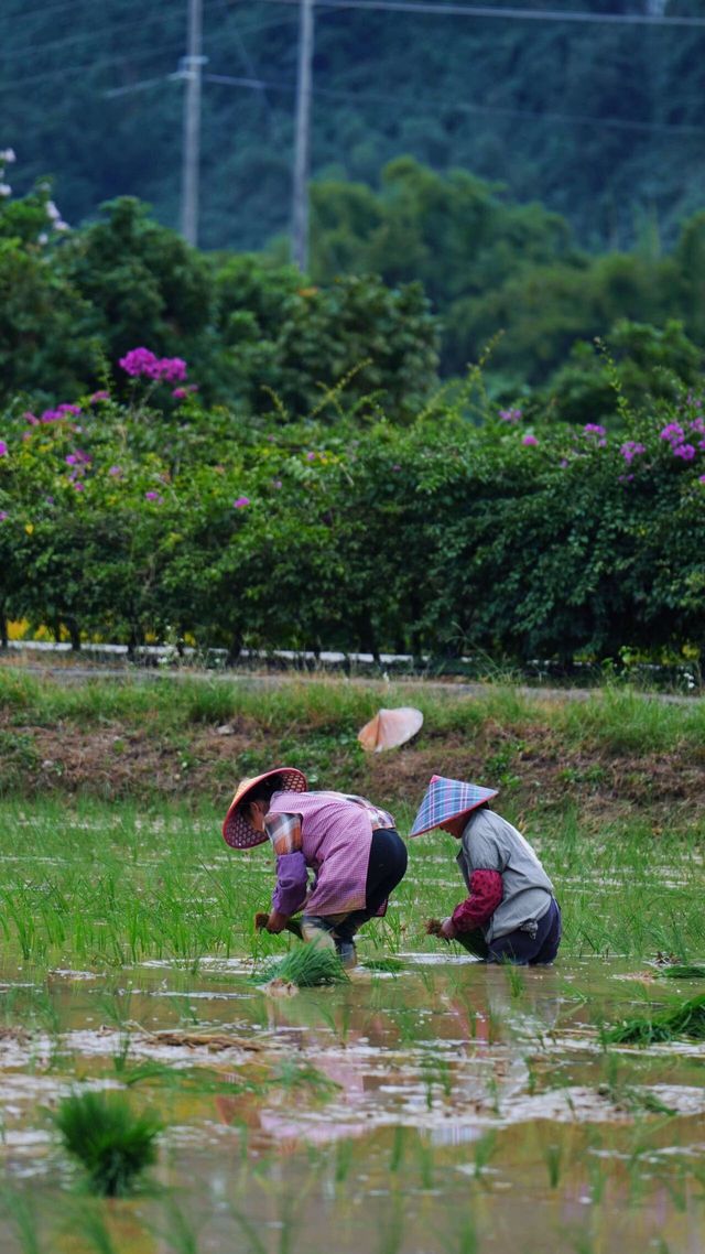 地理優等生丨為什麼它永遠是攻略地圖上最亮的點 地理優等生丨為什麼它永遠是攻略地圖上最亮的點