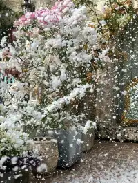 𝓜𝓮𝓻𝓻𝔂 𝓒𝓱𝓻𝓲𝓼𝓽𝓶𝓪𝓼 ₊*◞ 𓂃