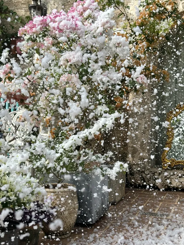 𝓜𝓮𝓻𝓻𝔂 𝓒𝓱𝓻𝓲𝓼𝓽𝓶𝓪𝓼 ₊*◞ 𓂃 𝓜𝓮𝓻𝓻𝔂 𝓒𝓱𝓻𝓲𝓼𝓽𝓶𝓪𝓼 ₊*◞ 𓂃