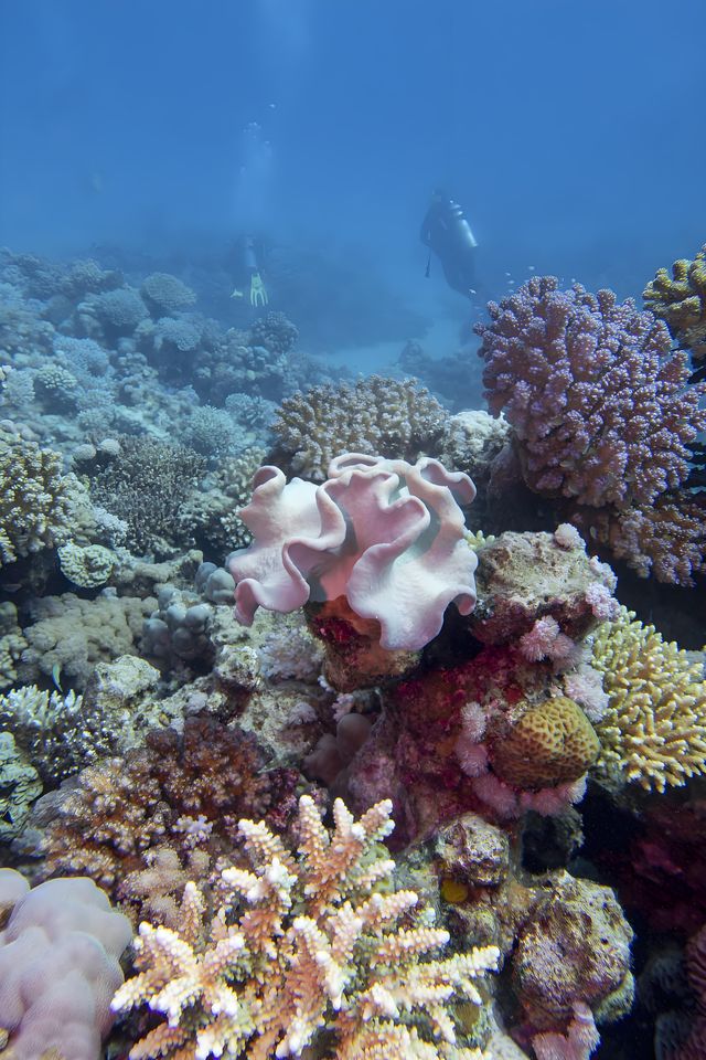 馬爾代夫冬季旅遊攻略 馬爾代夫冬季旅遊攻略