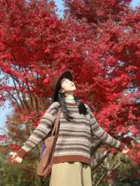 在成都拍到了和蘇州一樣的園林秋景！