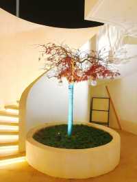 遠離喧囂的寶藏民宿:山嶼·日記