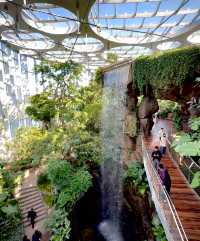 躲進城市雨林秘境