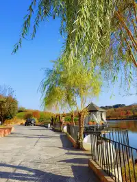 娃在加順農場當農夫，我在芷嵐秋看湖光發呆