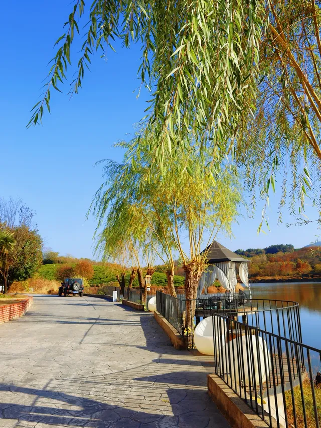 娃在加順農場當農夫，我在芷嵐秋看湖光發呆