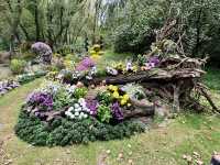 共青賞秋絕佳地