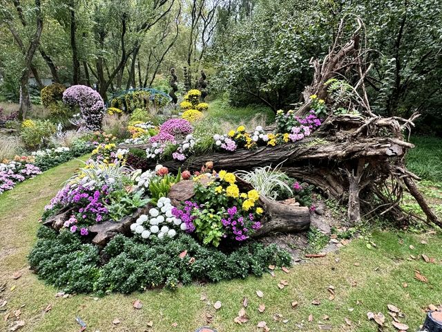 共青賞秋絕佳地 共青賞秋絕佳地