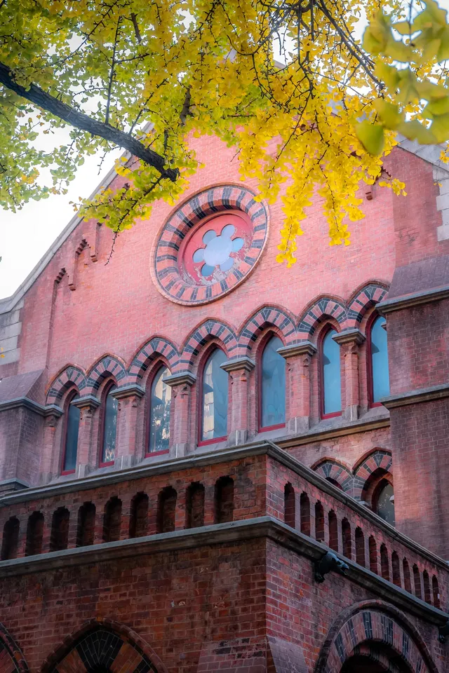 那道光撒向聖三一的銀杏上,也照進我的心裡 那道光撒向聖三一的銀杏上,也照進我的心裡