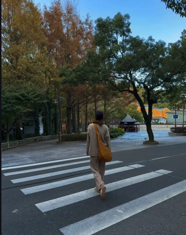 來了就好|普陀山超實用攻略