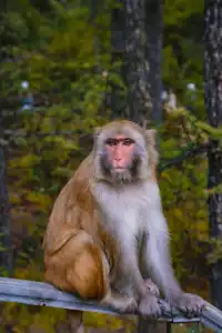 把屏保當成現實｜稻城亞丁到底有多震撼