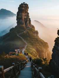 梵淨山親子保姆級攻略！帶娃登頂天空之城，避坑99%