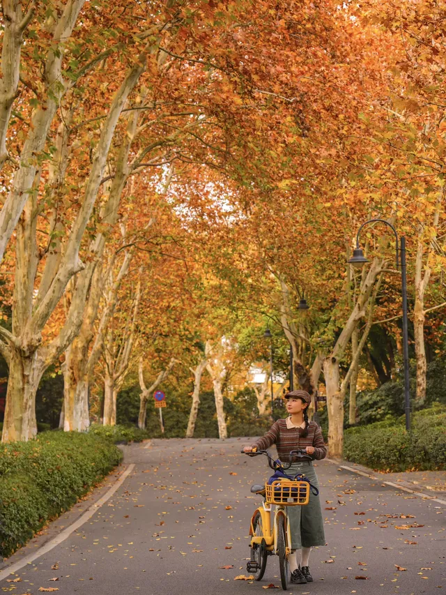 12.3的東湖殺瘋了!分享一條油畫感騎行路線 12.3的東湖殺瘋了!分享一條油畫感騎行路線