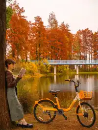 12.3的東湖殺瘋了!分享一條油畫感騎行路線