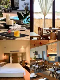 放棄三亞了 去潿洲島追鯨魚了