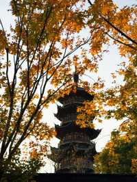 魔都秋日限定龍華寺美成古畫了!!!